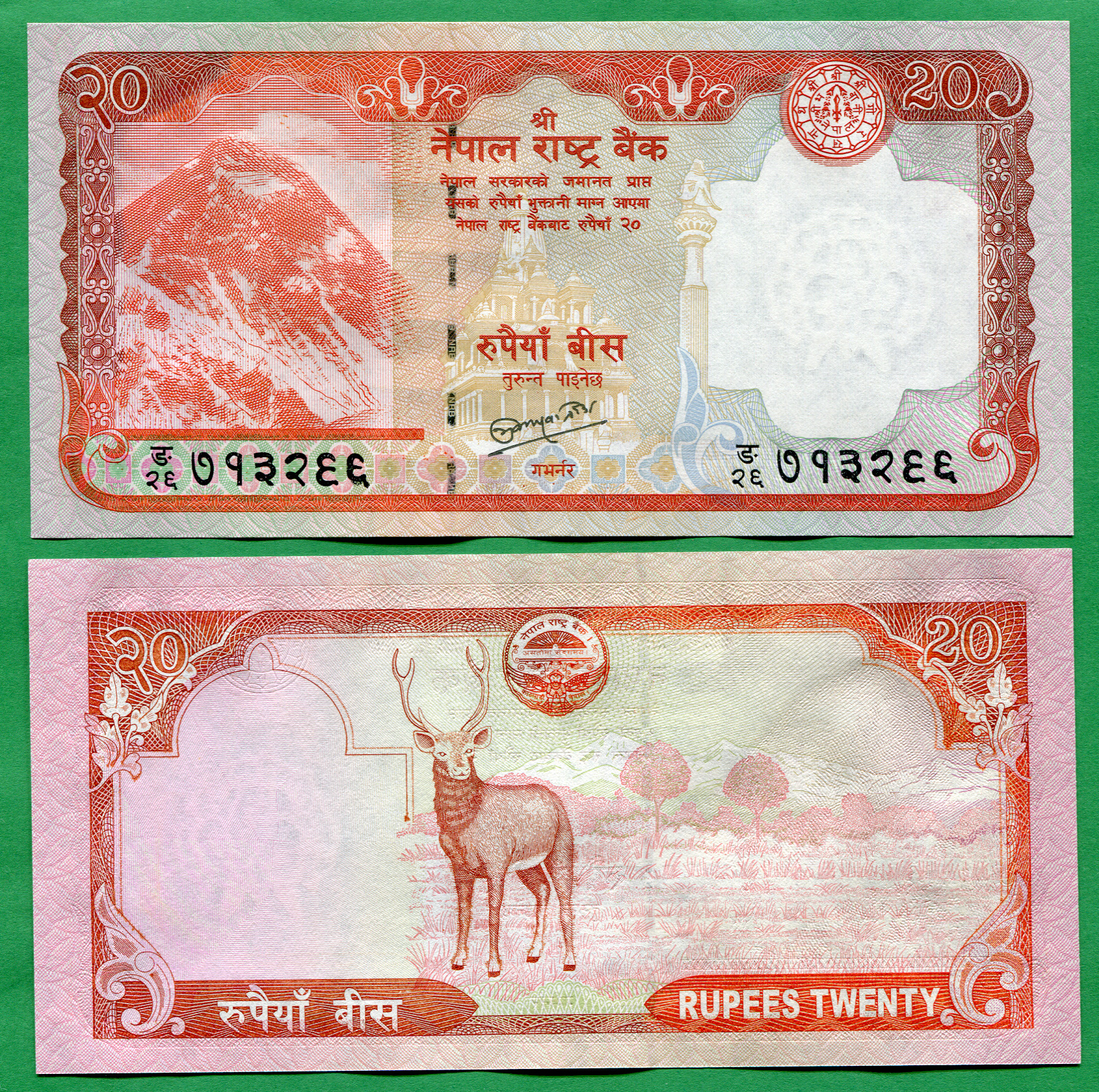 20 rupees